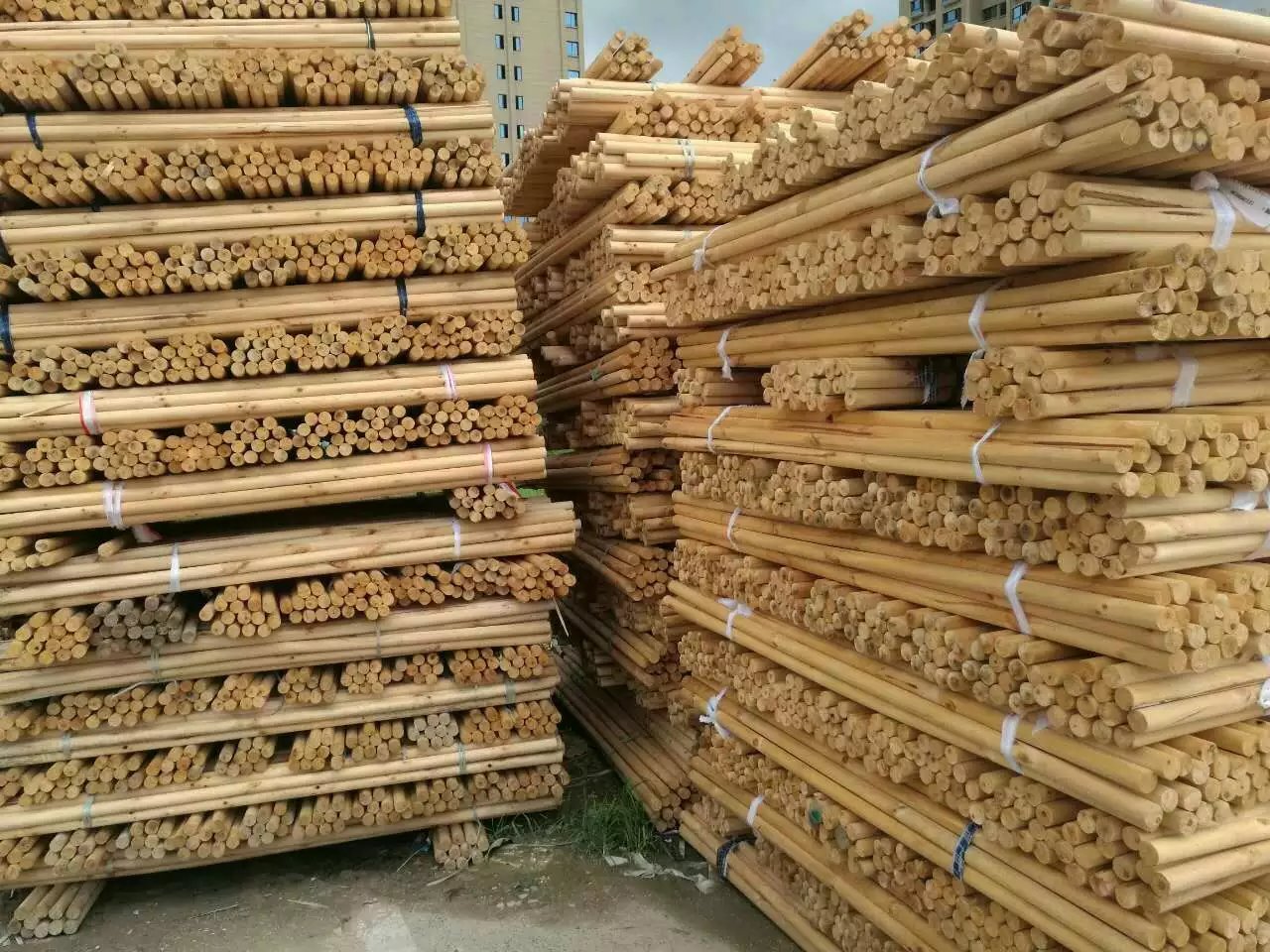 福建漳州大牛木制品优质旋板厂桉木木芯厂家 桉木柱子批发 木轴加工