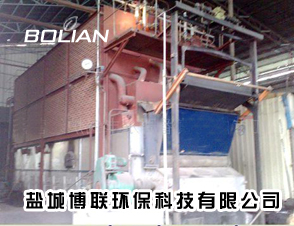 扬州仪征6吨燃煤锅炉改造生物质选择规范厂家
