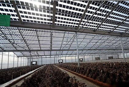 光伏农业大棚 钢结构双玻太阳能大棚 享受国家补贴 25年使用寿命 北京怀能