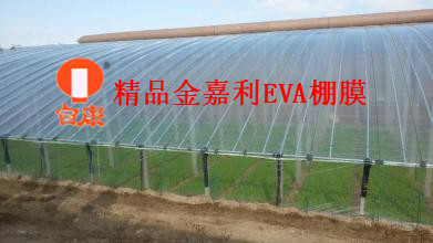 等你来电！ 潍坊EVA农膜价格/西红柿EVA农膜/新京农膜
