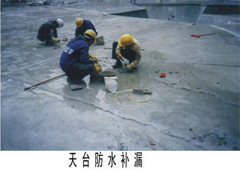 增城防水补漏公司-外墙|屋顶|楼面专业防水堵漏施工