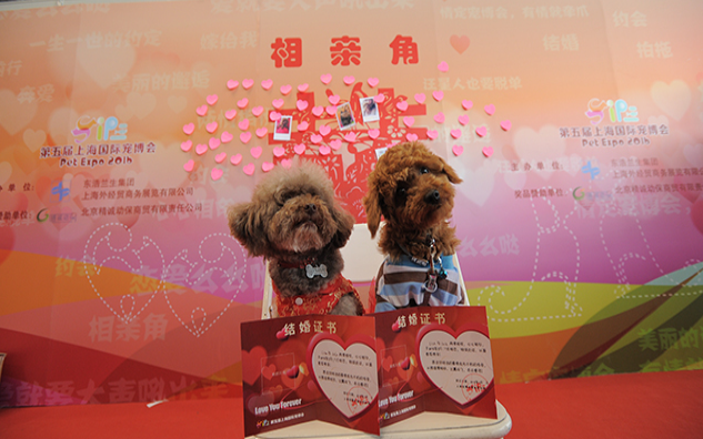 2017年上海宠物展/中国国际犬博会