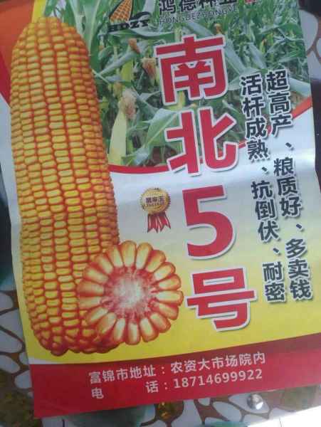 大豆高粱水稻种子品牌