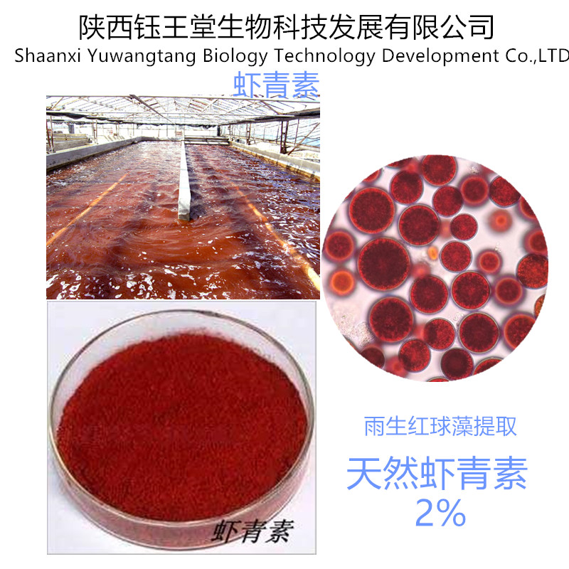 雨生红球藻生产1--10 **虾青素