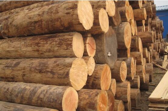 木材加工 绥芬河木材加工