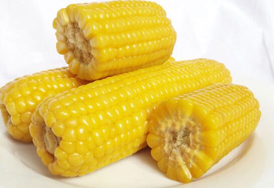 东北农家自产高品质玉米厂家直销 大型玉米批发种植基地