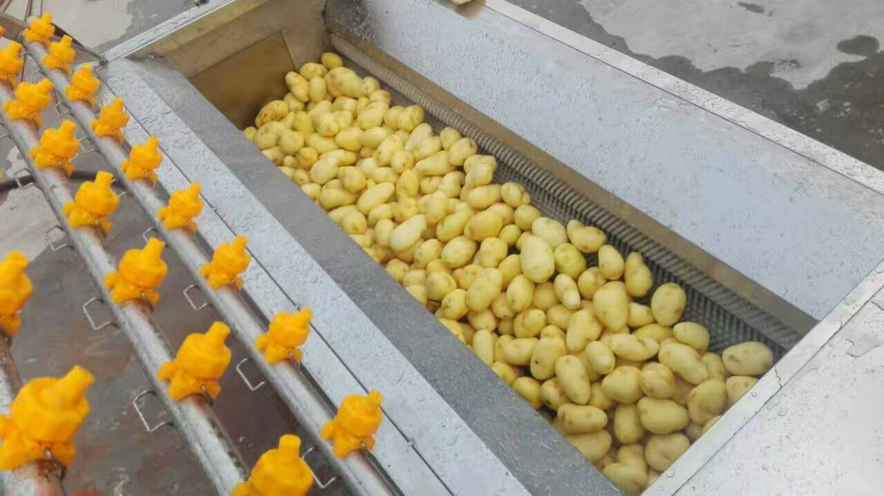 土豆毛辊去皮清洗流水线-宏旭机械专业制造
