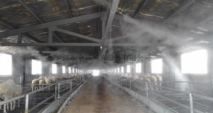 养羊场喷雾消毒设备让养殖场洋洋得意