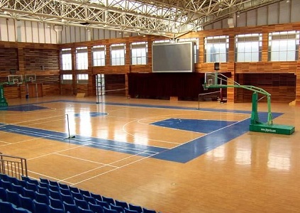 力搏供应 PVC运动地板，篮球场 ，场地铺设器材
