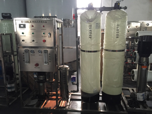 善蕴RO-1000L/H纯水生产设备 单级纯净水设备
