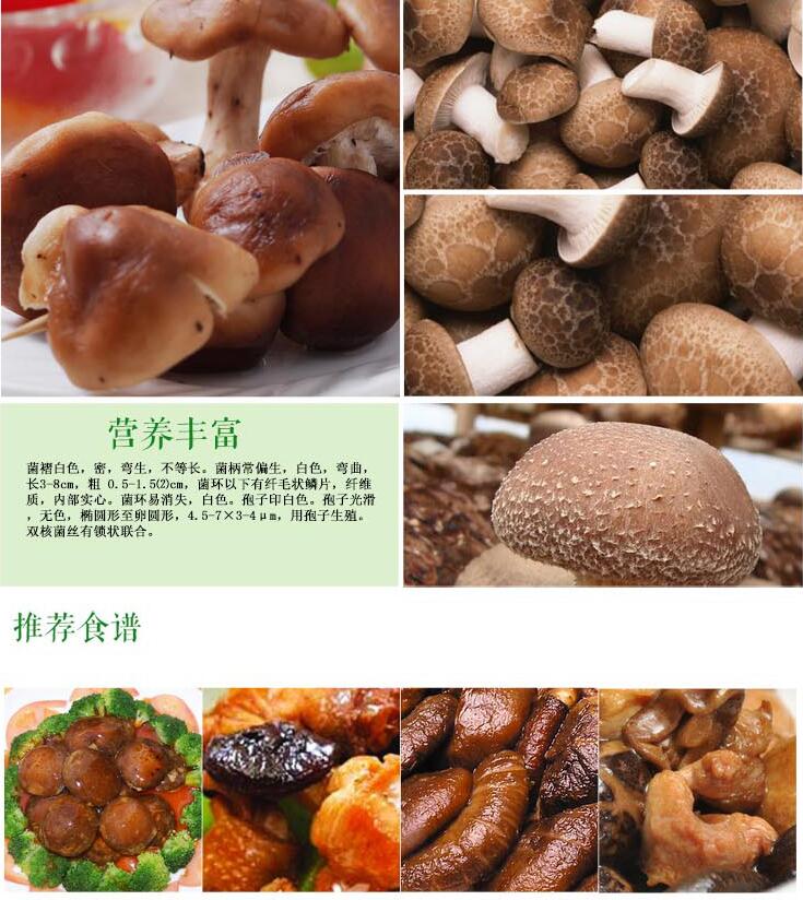 鸡西菌类种植销售一体的优质产品供应 黑龙江食用菌哪家产品好