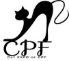 17年CPF中国 广州）国际猫咪文化产业博览会