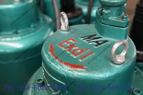 WQB150-15-11防爆潜水泵专业生产厂家电话