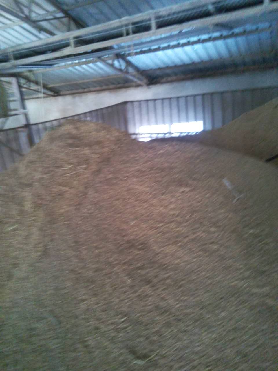 哈尔滨水稻专业加工厂家哪好 黑龙江水稻加工成大米工厂