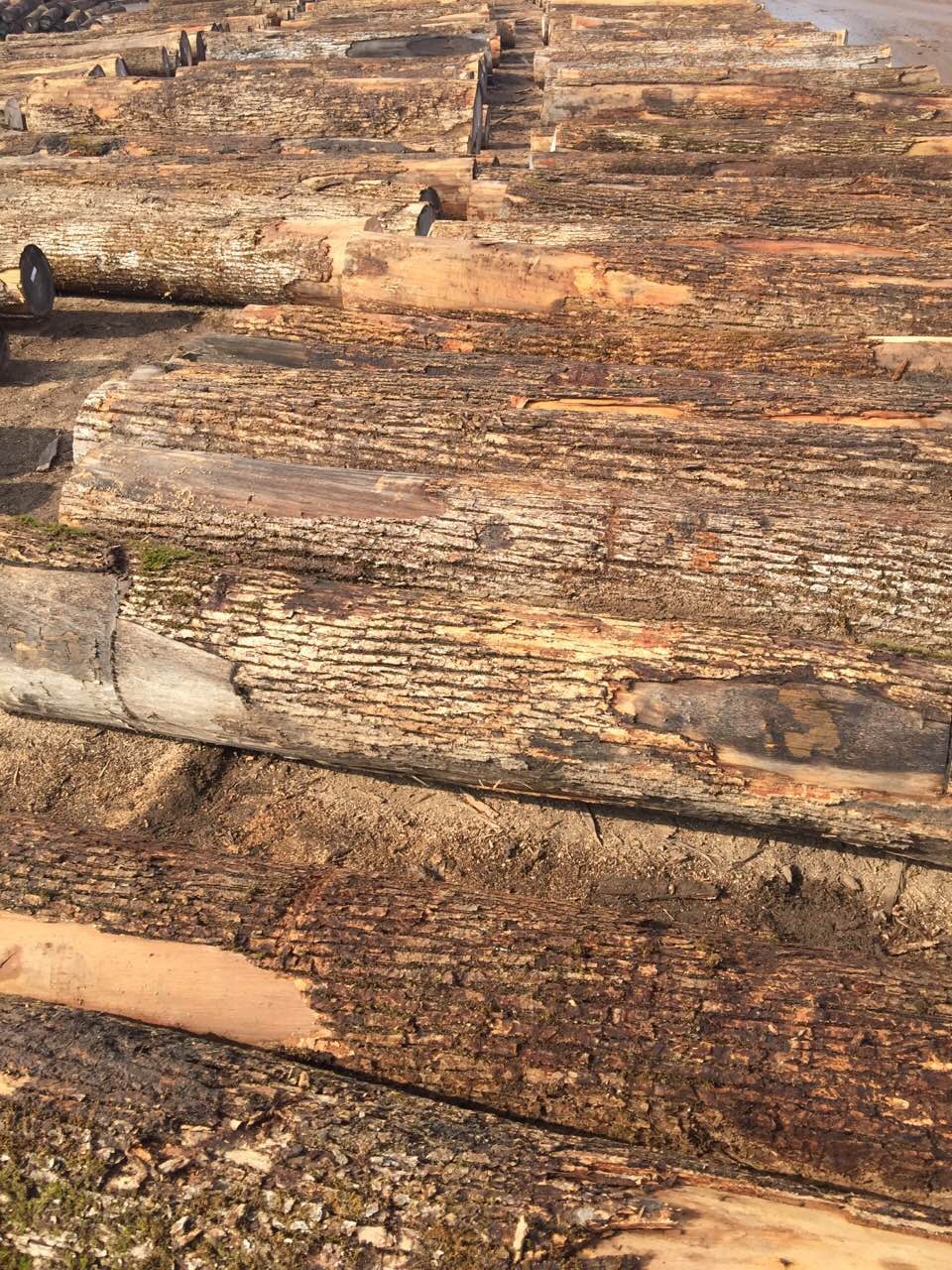 牡丹江批发樟子松板材价格 黑龙江大型木材加工厂可定制 量大优惠