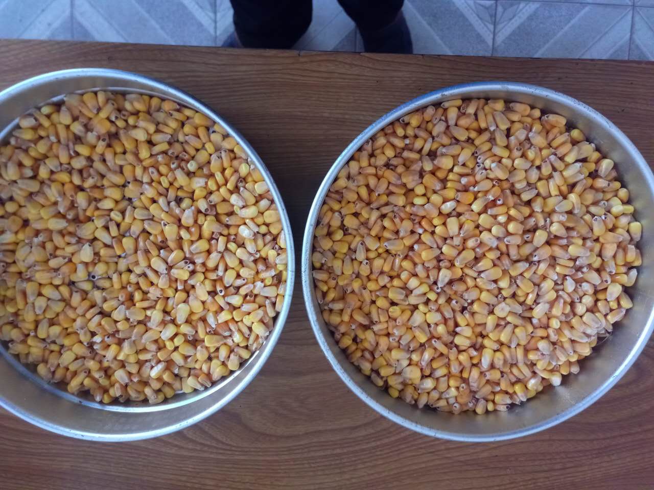 鸡东厂家新货优质玉米粒低价处理 东北绿色健康玉米杂粮批发