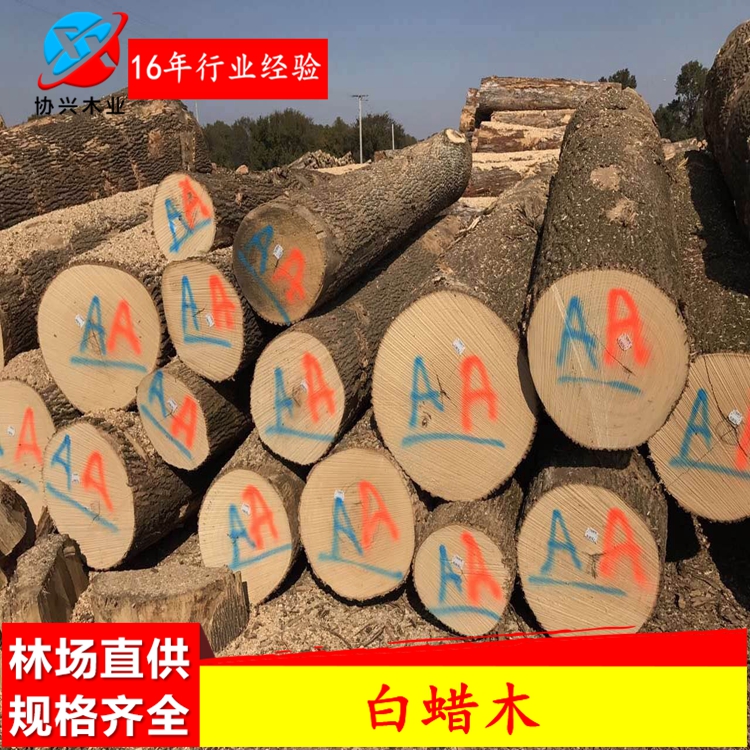 广东家具木材厂供应北美优质白蜡木 协兴木业