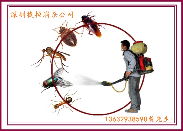 深圳杀虫公司、深圳专业杀虫公司、深圳消毒杀虫公司、深圳龙华杀虫公司