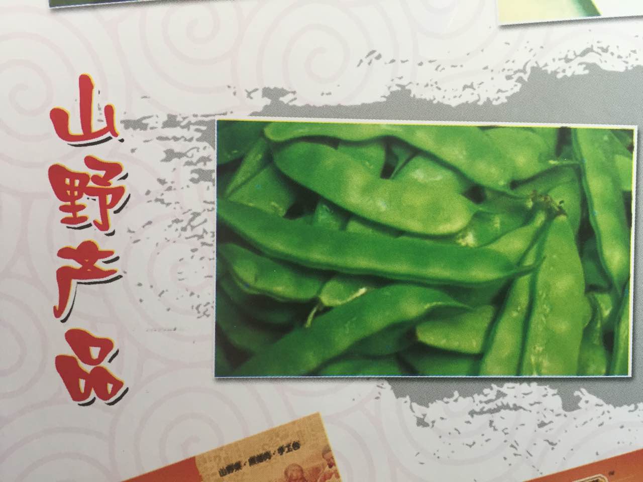 厂家直销速冻豆角农家自产 牡丹江食品公司速冻食品菜饺子