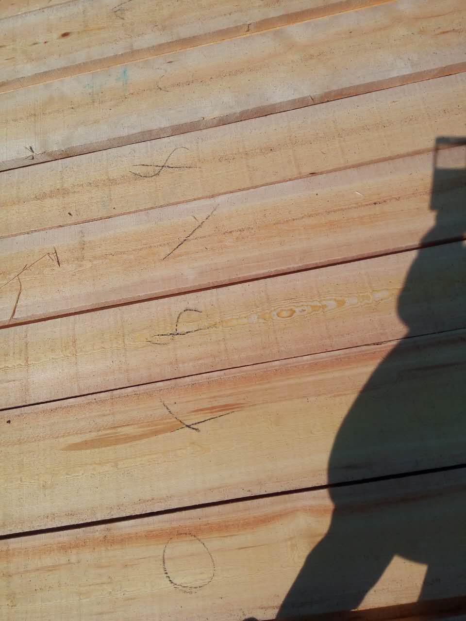 绥芬河供应建筑施工木材 木方 绥芬河木板材加工樟子松无节材