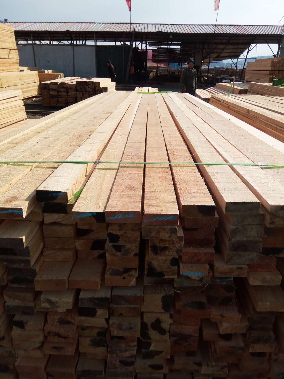 绥芬河工厂专业出售樟子松木材 东北优质樟子松木烘干板材加工