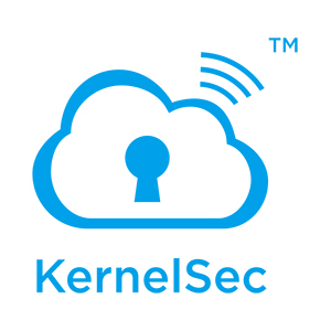 翼火蛇*企业文档加密|文档保护|文档安全管理软件科诺斯科KernelSec