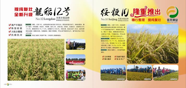 黑龙江省水稻种植技术选哪家 黑龙江水稻总代理选哪家
