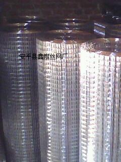安平热镀锌电焊网 镀锌电焊网作用 安平镀锌电焊网厂 镀锌电焊网国家标准