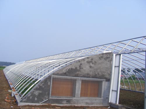 潍坊较优质的 阴阳棚，中坤温室供应全国