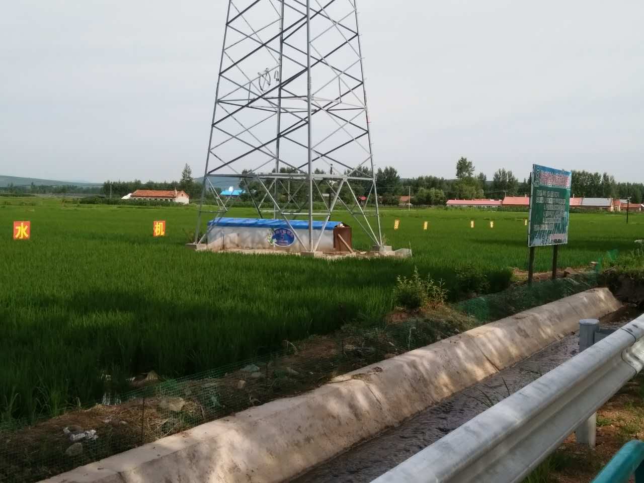 284523527905888204
