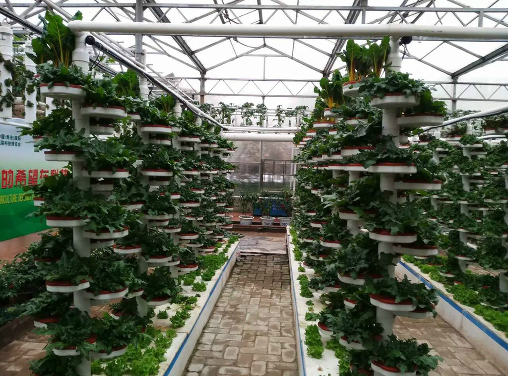 成德温室景观|智能温室建设|蔬菜温室大棚建设
