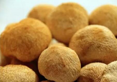 牡丹江优质**猴头菇产品 供应东北蘑菇猴头菇养胃健胃食品