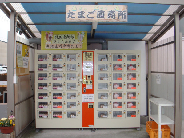中谷承接OEM/ODM售货机全套定制服务 鸡蛋贩卖机