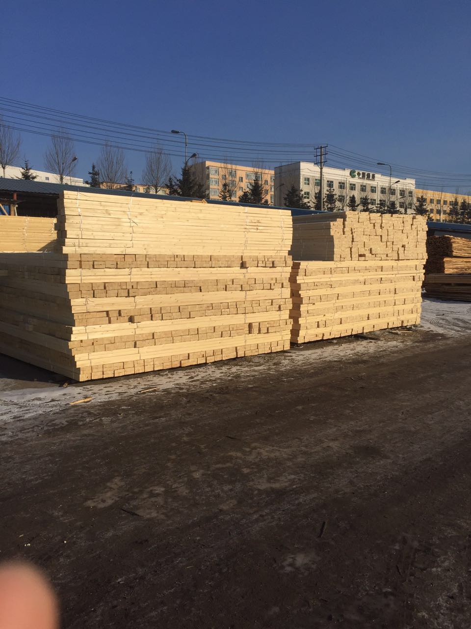 绥芬河木料加工厂樟子松实木板材 绥芬河优质生态樟子松木龙骨 批发欢迎选购