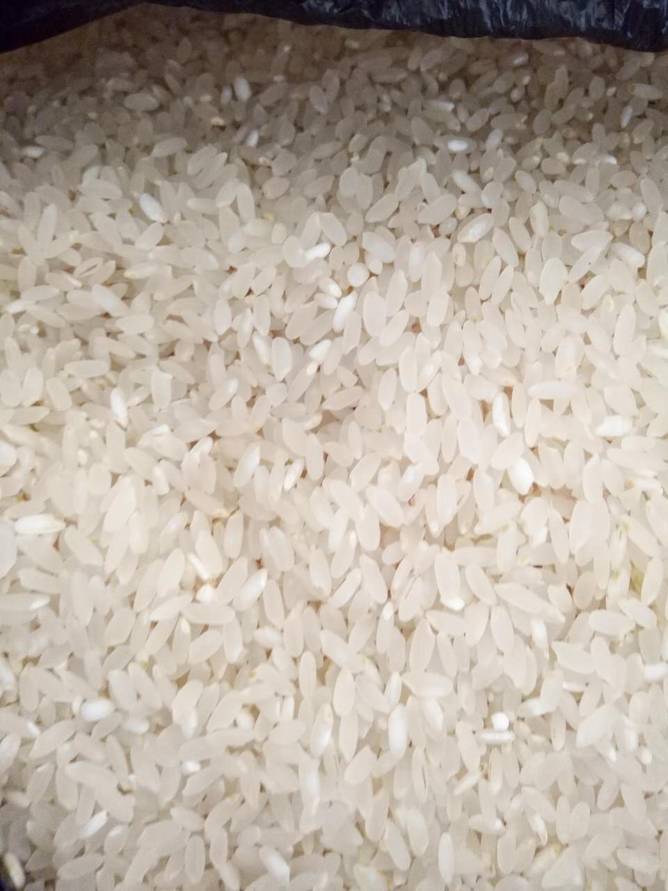 2016年新米经典长粒大米 东北特产**大米批发价