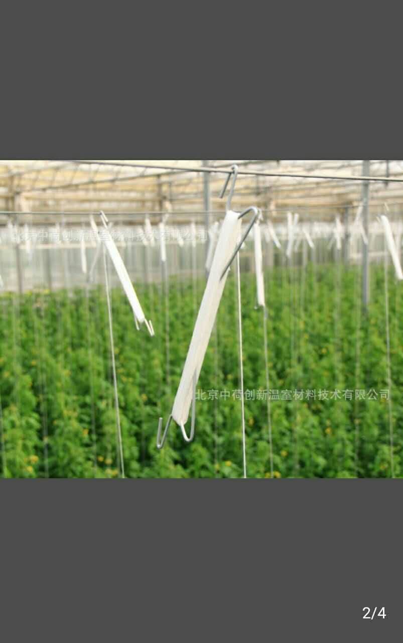 北京中荷创新温室材料-温室栽培种植系统-西红柿挂钩