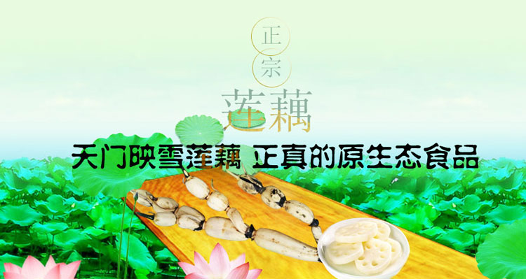 天门市映雪莲藕种植专业合作社，专业供应花奇莲藕种