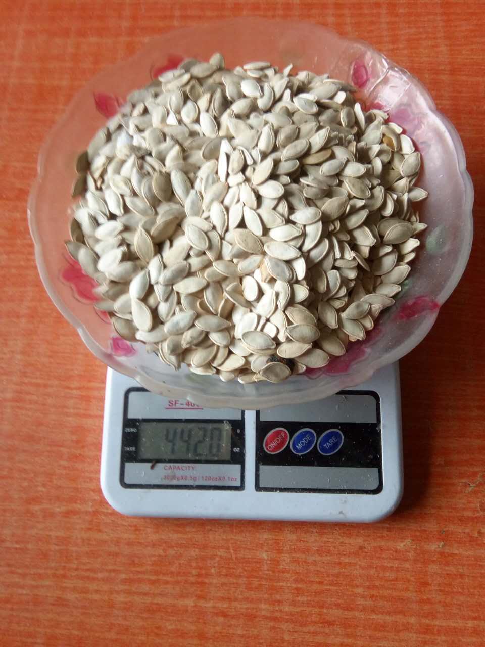 穆棱厂家批发销售优惠葫芦籽 出口级光板葫芦籽价格