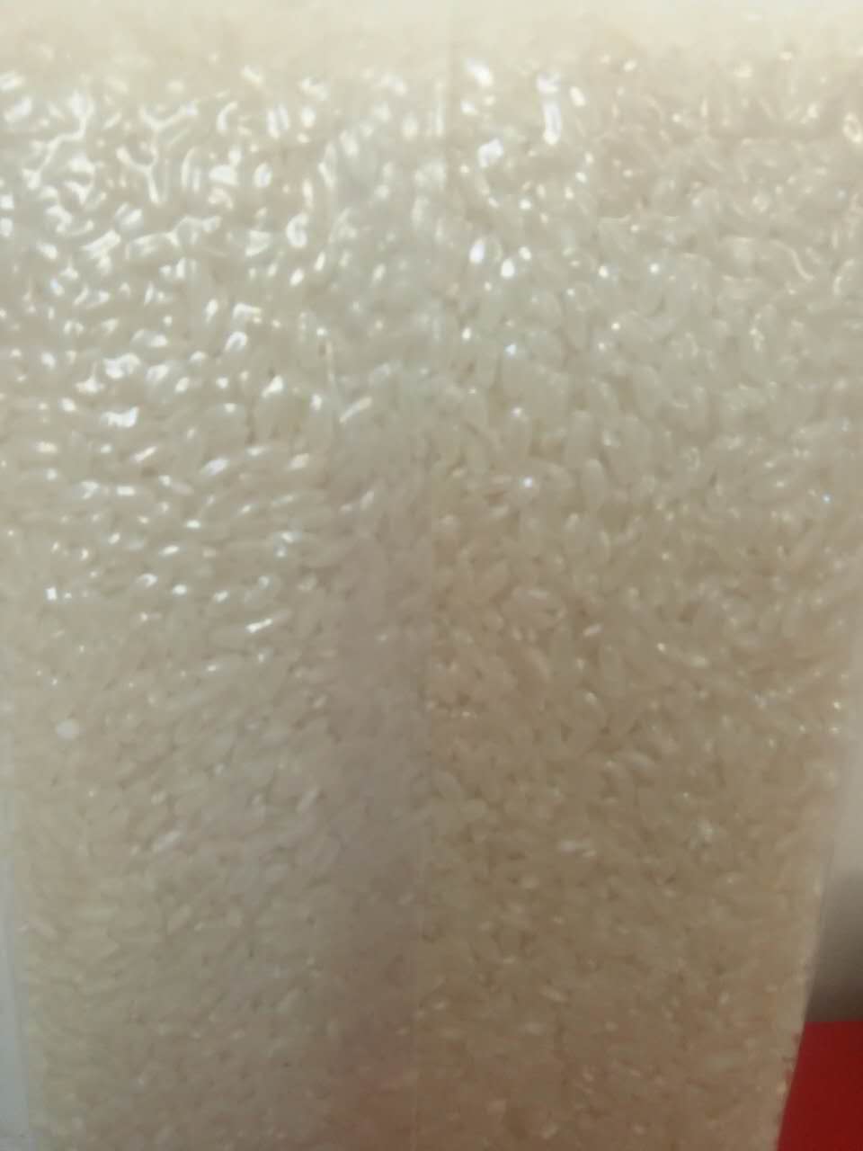 桦川大米，粒粒莹白如玉、充盈流脂，颗颗营养丰富