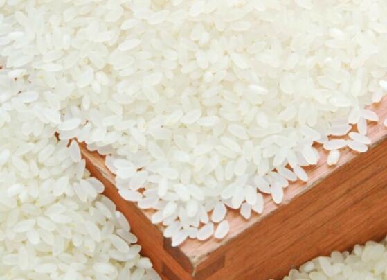 宁安当地新米批发大米 上乘佳品正宗东北大米货源
