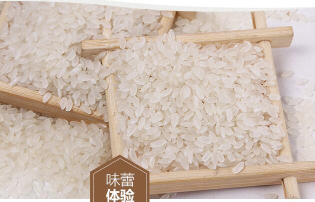 宁安厂家绿色大米现货批发 优质大米黑龙江大米