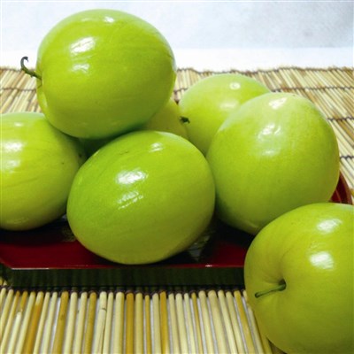 明仕农业/广东蜜丝枣/长乐蜜丝枣批发