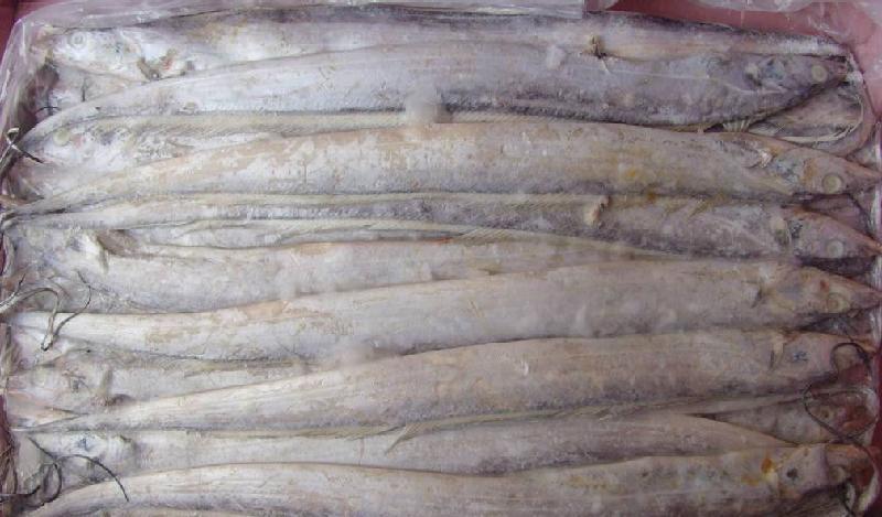 海鲜进口代理,海鲜进口快速清关,冻鱼冻虾进口商检