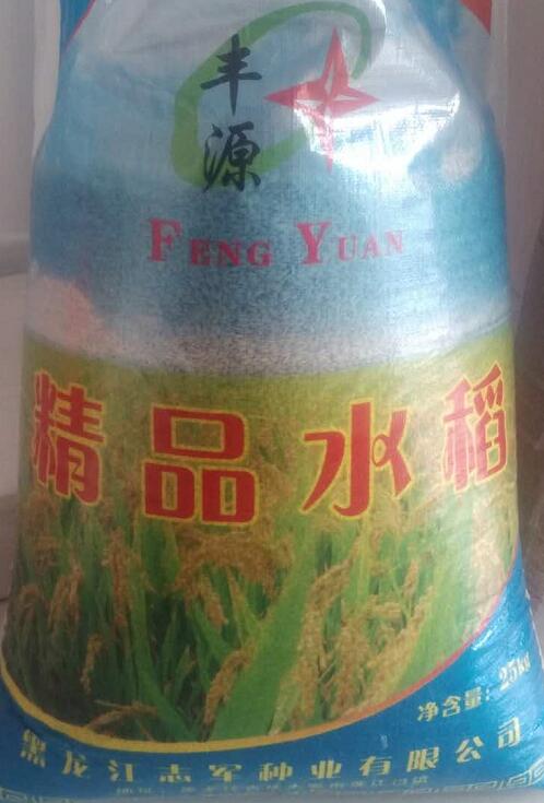批发丰源精品高产水稻种子 稻谷种子水稻种子高产高抗病稳产