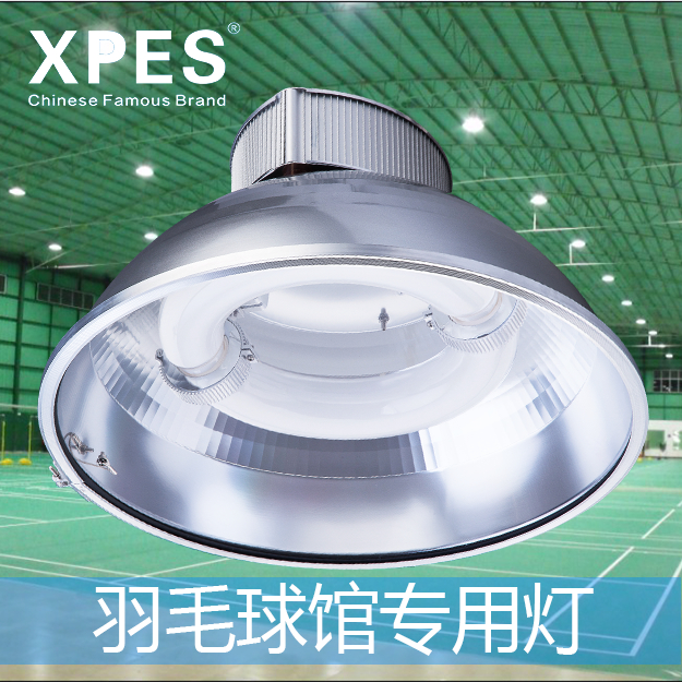 广东星普无极灯 适用于室内羽毛球乒乓球场地照明