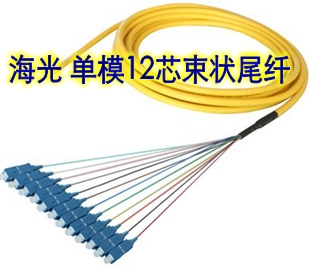 海光HG-ST/SC/FC/LC 1.5M单模12芯束状光纤尾纤