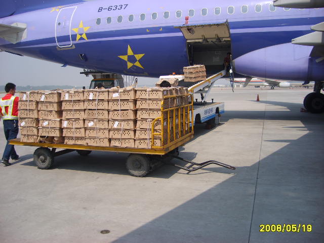 南京航空货运供应-鹤翔货运代理-航空货运