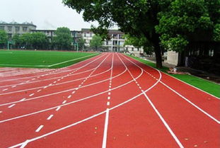 浙江标准200米300米400米塑胶跑道公司 欢迎光临 产品展示