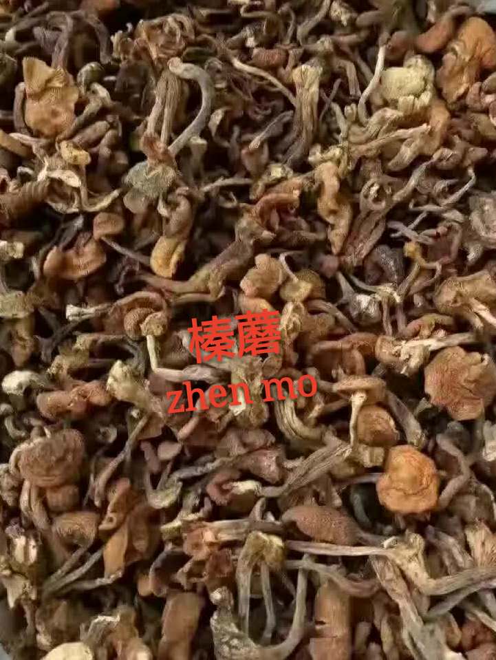 东北**榛蘑冻蘑元蘑菇 一级干蘑菇厂家批发 正宗**蘑菇