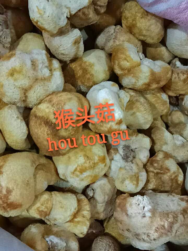 牡丹江山珍猴头菇猴头蘑 **绿色 特级东北猴头菇干货厂家直销